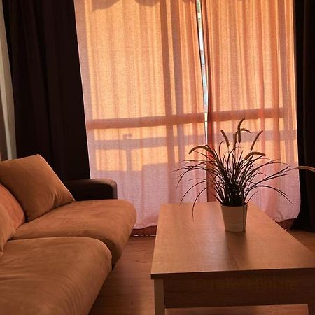 Casa Manuela Daire Málaga Dış mekan fotoğraf